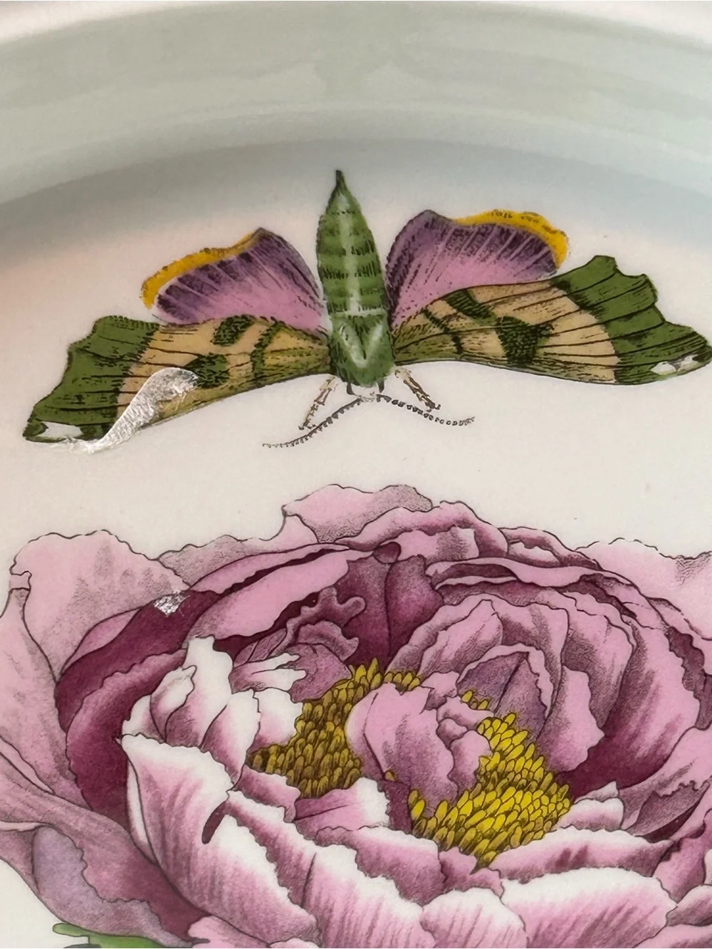 PORTMEIRION BOTANIC GARDEN 10.5” Shrubby Peony Dinner Plate Butterflies 1972